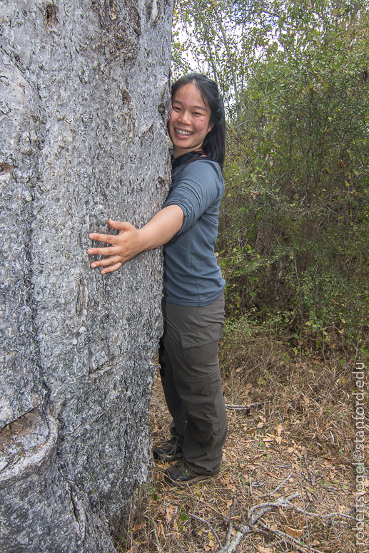 tree huggers